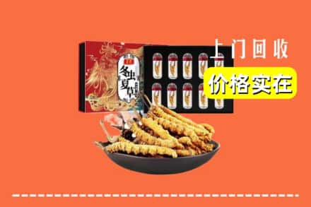 延安安塞区回收冬虫夏草